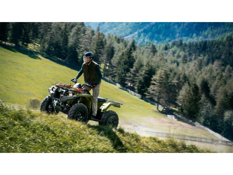 YAMAHA KODIAK 450 