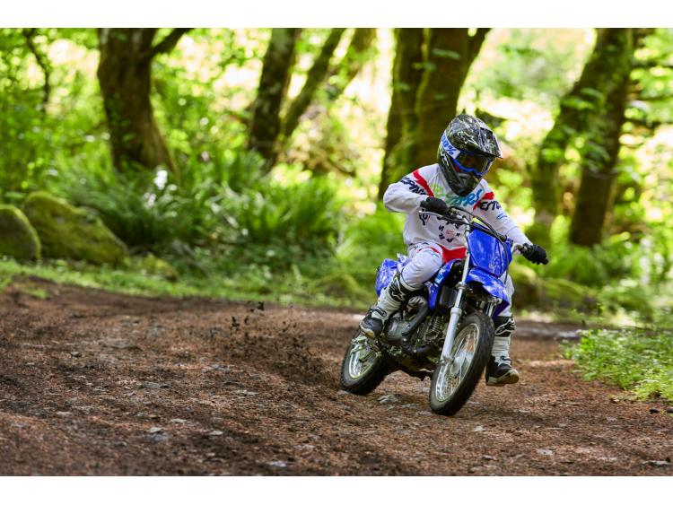 YAMAHA TT-R110