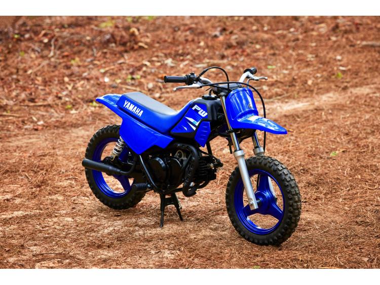 YAMAHA PW50