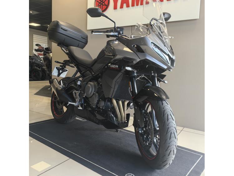 TRIUMPH TIGER 800