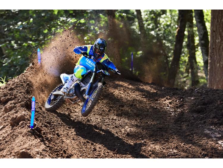 YAMAHA YZ250 MONSTER ENERGY