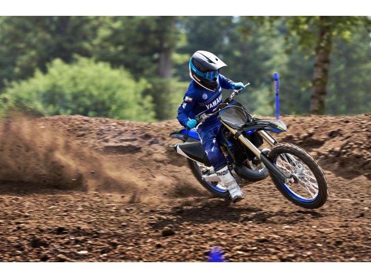 YAMAHA YZ250 MONSTER ENERGY